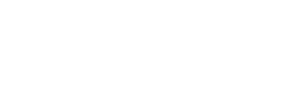 Wahl